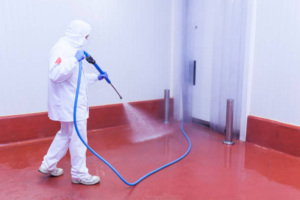 Best Pool Deck Cleaning  in Jersey City, NJ