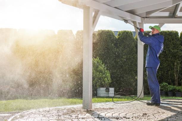 Best Driveway Pressure Washing  in Jersey City, NJ